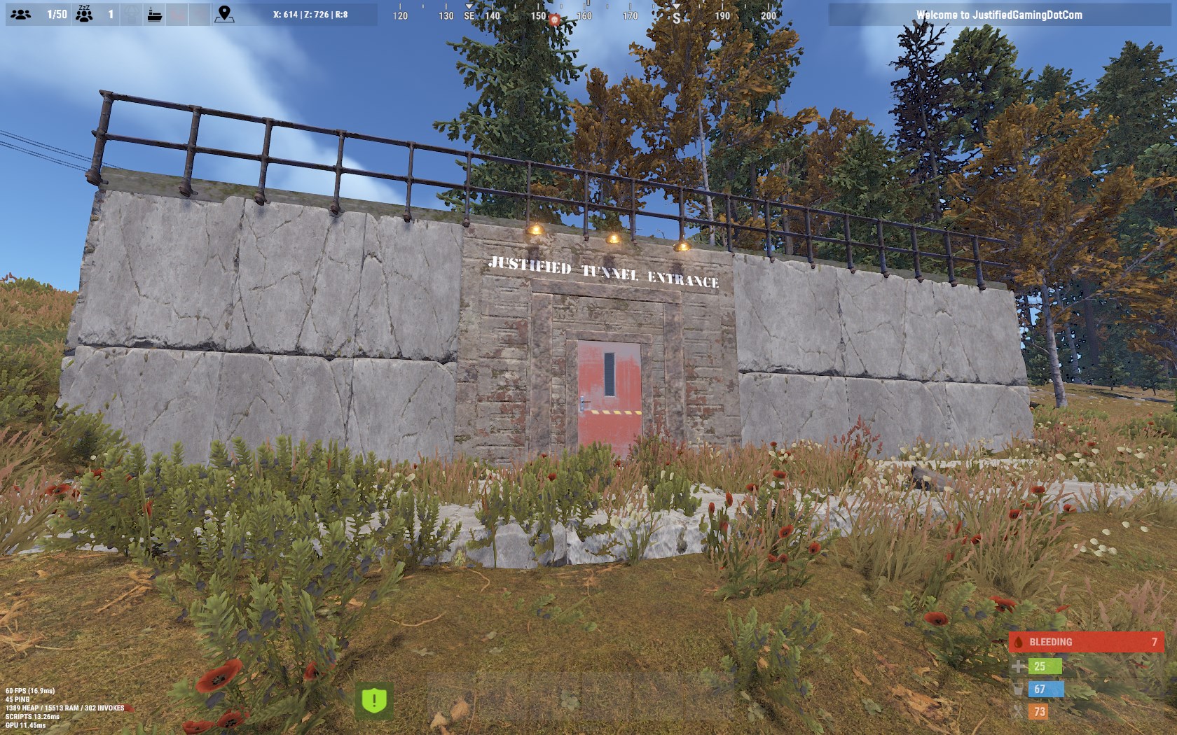 Justified Tunnel Entrance